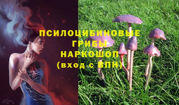 Альфа ПВП Верхний Тагил